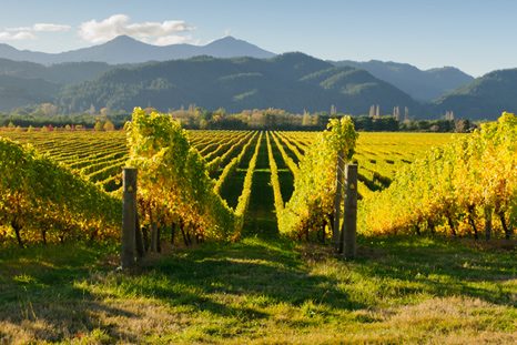 vinárske oblasti Nový Zéland