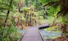 Nový Zéland aktivně pro mladé Redwood Forest